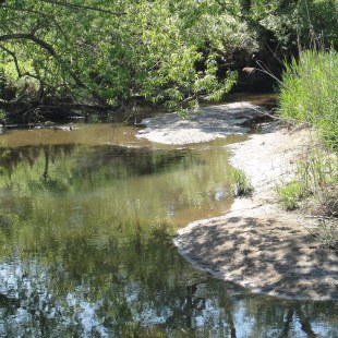 Fluss Schwarzach nach der Renaturierung | © Bernd Raab