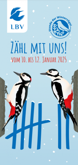 Faltblatt Stunde der Wintervögel 2025