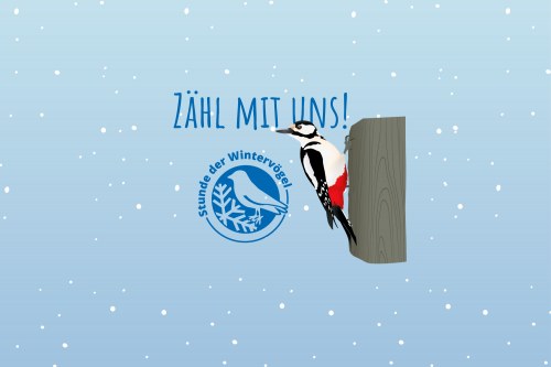 Website Banner Stunde der Wintervögel
