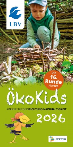Flyer Ökokids 2026