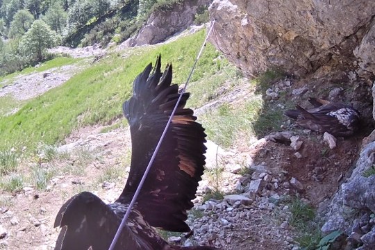 Leben in der Nische |  © D. Schuhwerk, LBV