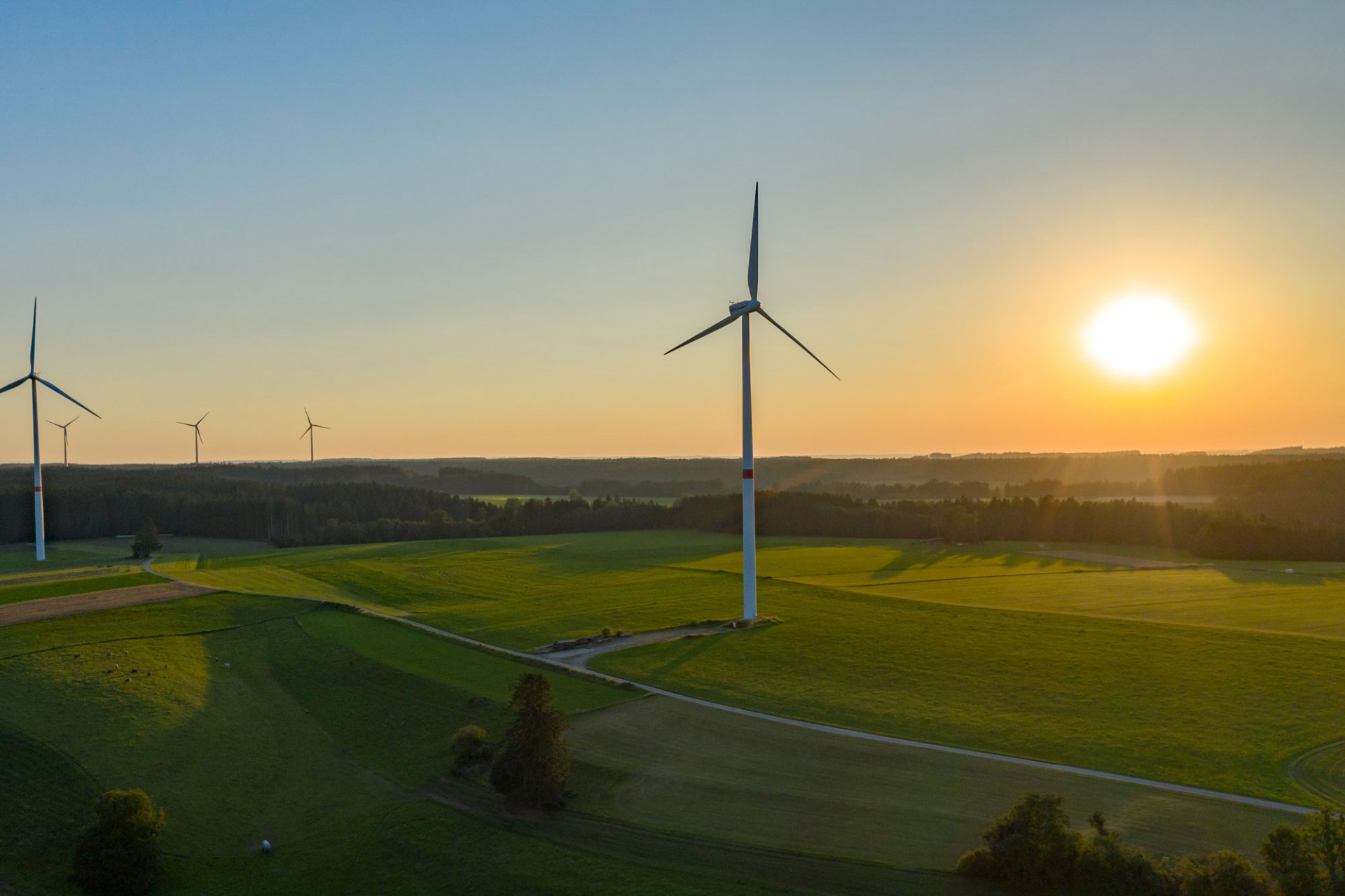 Windräder auf einem Feld mit Sonne im Hintergrund | © Broders Dr. Olaf