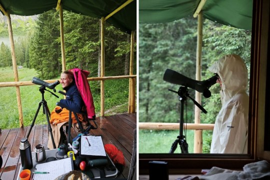Xandi und Sophie beim Monitoring BFD Bartgeier |© LBV