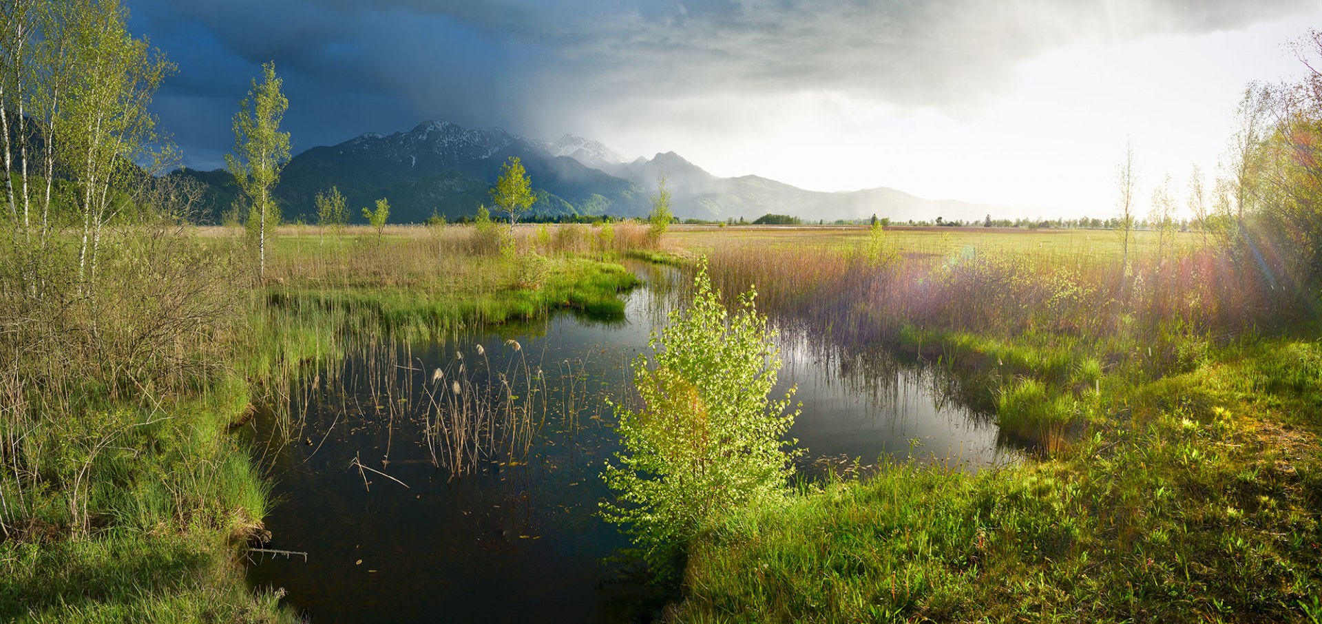 Ein idyllisches Kochelmoor mit Bergblick im Sonnenlicht, gefördert vom Landesbund für Vogel- und Naturschutz in Bayern.