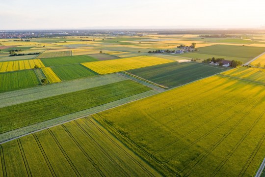 Agrarlandschaft | © Dr. Olaf Broders