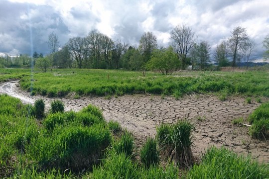 Ausgleichsfläche Biessenhofen Positivbeispiel | © LBV