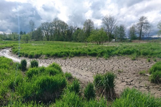 Ausgleichsfläche Biessenhofen Positivbeispiel | © LBV