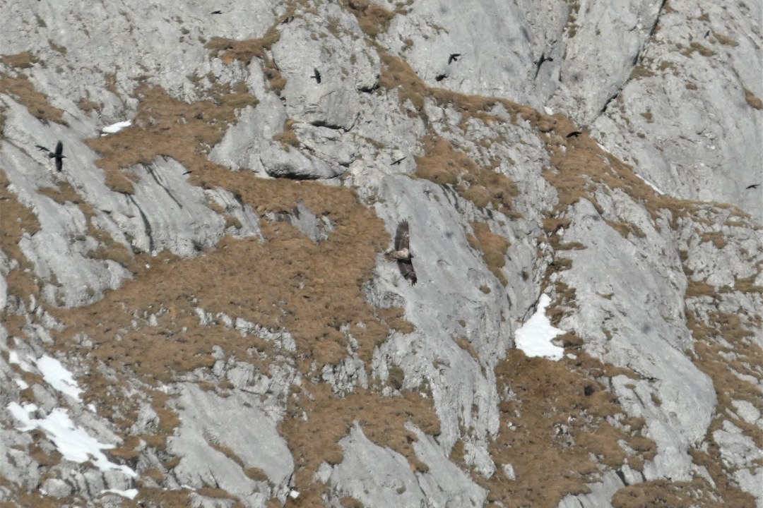 Bavaria im Winter 22 |  © Silke Moll