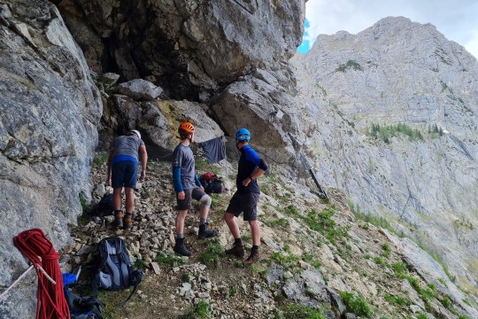 In der Auswilderungsnische |© D. Schuhwerk LBV