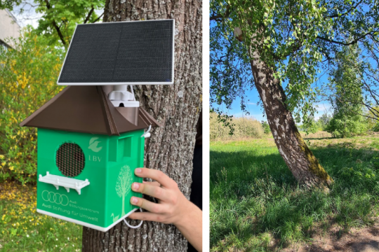 Prototyp Horchbox/Baum auf der Landesgartenschau | © Audi/B. Borgetto