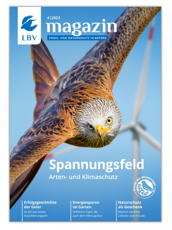 Ausgabe des LBV-Magazins 04/2022 - Rotmilan ist auf dem Cover zu sehen