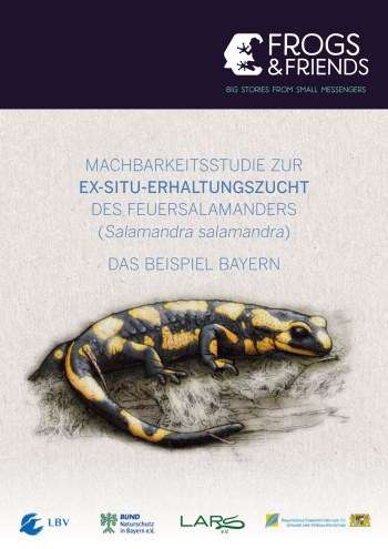 Machbarkeitsstudie Feuersalamander