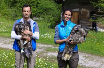 Wiggerl und Vinzenz |© Markus Leitner
