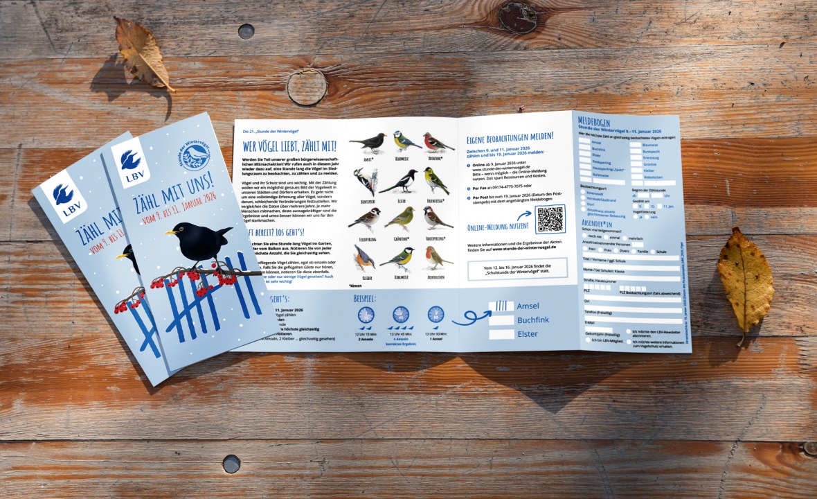 Flyer Meldebogen Stunde der Wintervögel