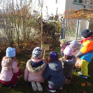 Kinder pflanzen Winterlinde im Garten der Kita Arche Noah in Kümmersbruck, Geschenk aus Auszeichnung Ökokids 2019 | © D. Piechatzek