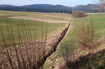 Gewässerrandstreifen | © Maximilian Sehr