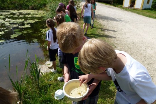 Umweltbildung| © B. Simmeth