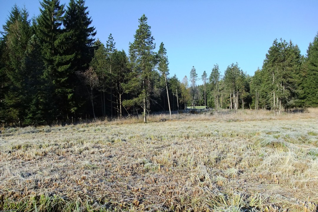 LBV-Schutzgebiet Gillenmoos | © Helmar Schreiter