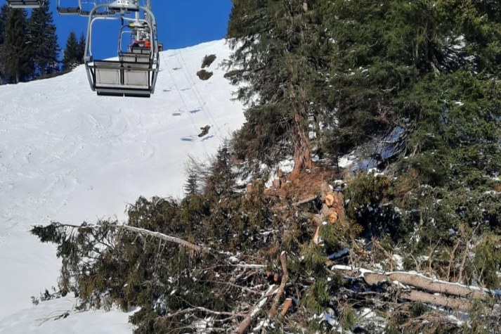 Eine Seilbahn fährt über einen schneebedeckten Hang, wo gefällte Bäume sichtbar sind, was den LBV zur Naturschutzarbeit anregt.