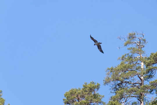 Bavaria | © Daniel Schwab