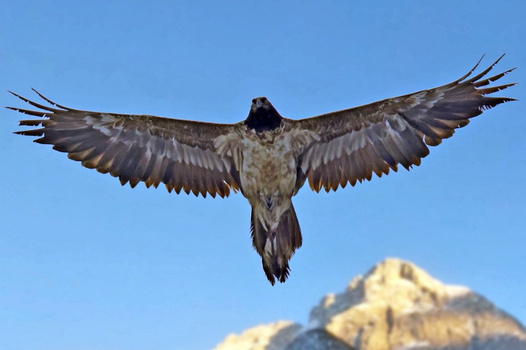 Bavaria im September 2024 | © Markus Leitner