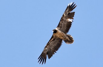 Recka im April 2024 | © Niklas Reichenauer