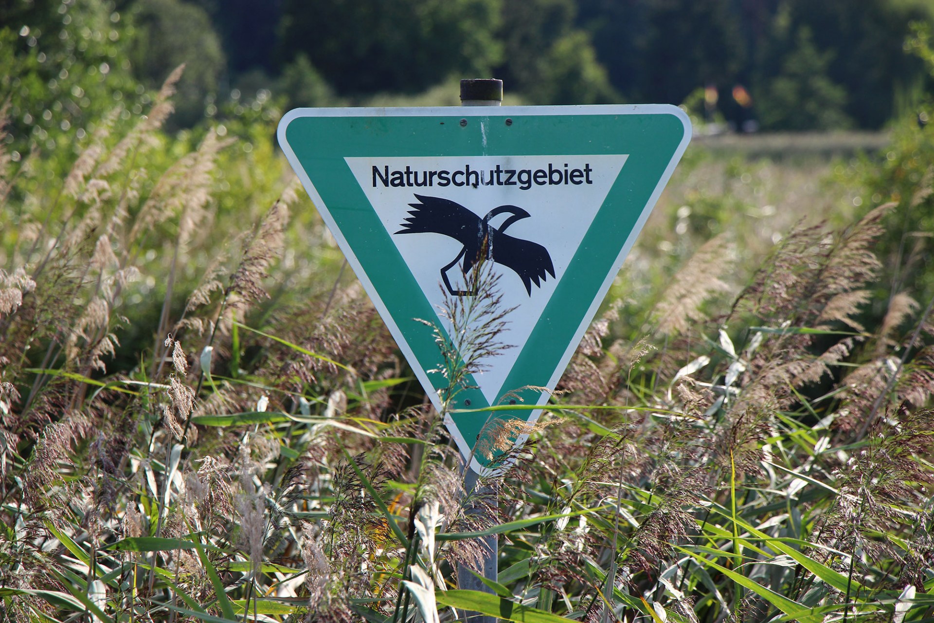 Ausgleichsflaeche | © Marianne Kunkel