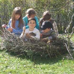 Schulgarten-Wettbewerb 2016 Grundschule Schnaittach Vogelnest | © Grundschule Schnaittach