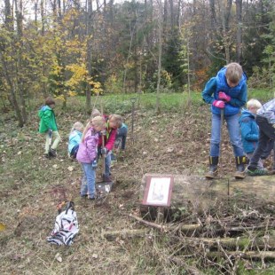 Schulgarten-Wettbewerb 2016 Ludwig-Thoma-Grundschule Waldarbeiten | © Ludwig-Thoma-Grundschule