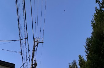 Tokyo | © Dawn Chorus