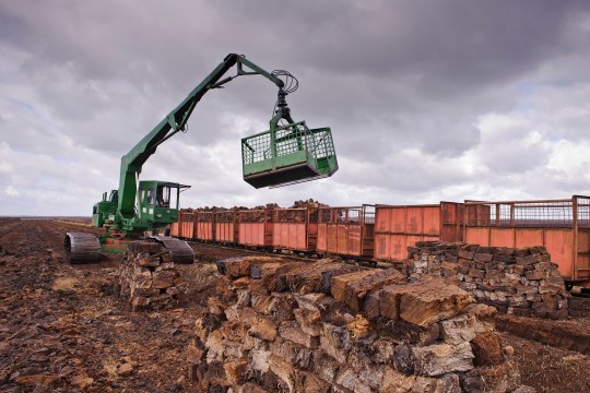 Torfabbau in einem Moor, was dadurch zerstört wird | © Willi Rolfes