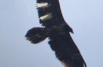 Wiggerl im Mai 2025 | © Tobias Erik Reiners