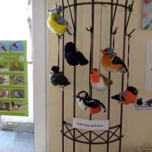 Plüschvögel | © Kornelie Schauer