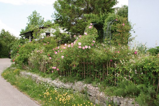 Garten | © Birgit Helbig