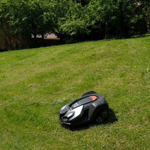 Ein Mähroboter zieht seine Bahn über eine Wiese | © Dr. Eberhard Pfeuffer