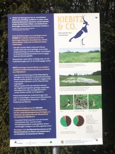 Schild zum Schutz des Kiebitzes | © Jürgen Hummel