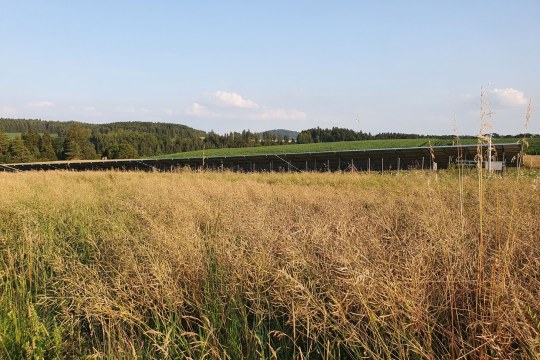 Ausgleichsfläche Velburg Negativbeispiel | © LBV