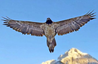 Bavaria | © Markus Leitner