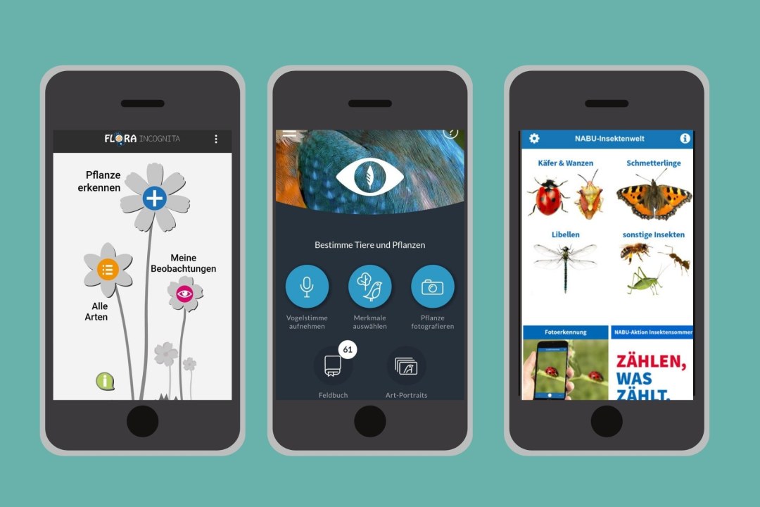 Bestimmungsapps im Test