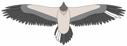 Bleichmuster von Bavaria