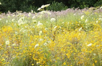 Kulmbach | © Claudia Neumüller (Kulmbach)