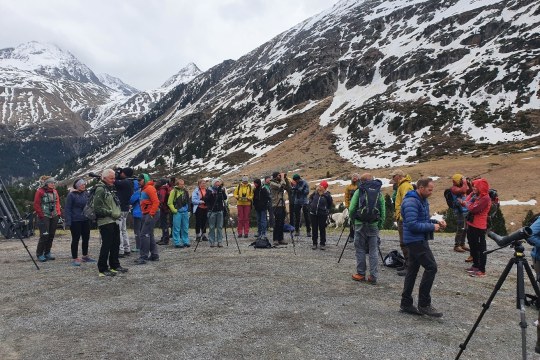 Exkursion und Schulung Bartgeier Monitoring im Ötztal