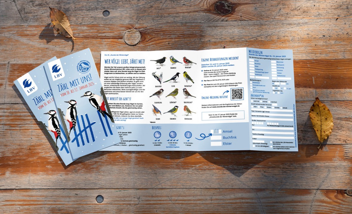 Flyer Meldebogen Stunde der Wintervögel