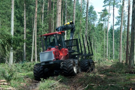 Harvester-Einsatz im NSG-Todtenau | © Wolfgang Lorenz