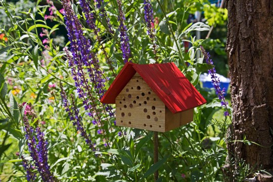 Ein kleines Insektenhotel inmitten von Stauden unter einem Baum | © Peter Bria