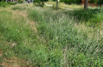 Rottal-Inn  | © Janett Diesner (Rottal-Inn)