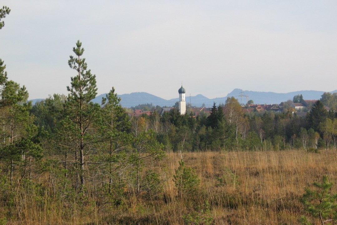 LBV-Schutzgebiet Königsdorfer Weidfilz | © B. Weis