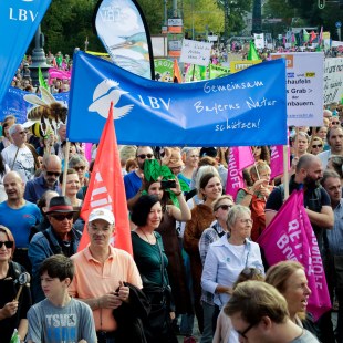 Menschen mit Flaggen bei der Demo "Mia ham's satt" | © LBV