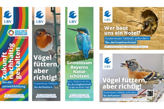 Beispielmotive LBV-Freianzeigen, jeweils in fünf verschiedenen Formaten erhältlich