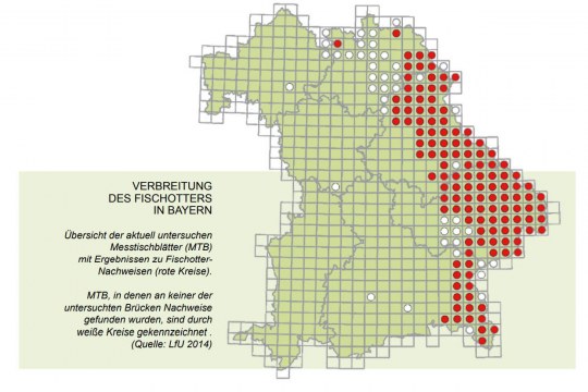 Verbreitung des Fischotters in Bayern, man sieht viele rote Punkt in ganz Ost-Bayern entlang der Landesgrenze, was sein Vorkommen markiert | © LfU
